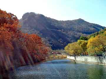 澳门期期准免费精准，山东莱芜